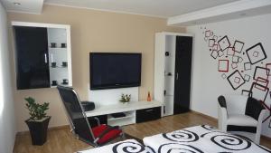 TV a/nebo společenská místnost v ubytování Apartmán Štěpánka