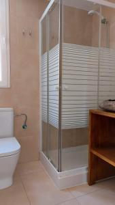 a bathroom with a shower and a toilet at Apartamento céntrico cerca de la playa in L'Ametlla de Mar