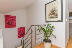 Fotografia z galérie ubytovania Apartman Marla v destinácii Makarska