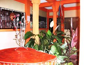 Fotografija v galeriji nastanitve Hotel & Hostal Yaxkin Copan v mestu Copan Ruinas