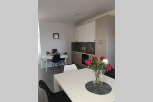 Kuchyň nebo kuchyňský kout v ubytování Apartman Mia