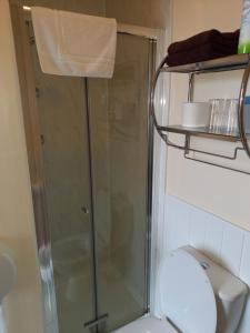 ein Bad mit einer Dusche und einem weißen WC in der Unterkunft Crofton Guest House in Weymouth