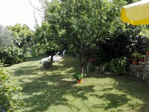 Ein Garten an der Unterkunft Apartments Jadranka with magnificent views of the sea - Baska