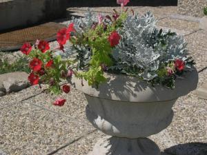 Ein Garten an der Unterkunft Apartments Jadranka with magnificent views of the sea - Baska
