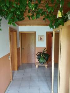 Billede fra billedgalleriet på Fischer Brigitte i Bad Kötzting + 18 billeder