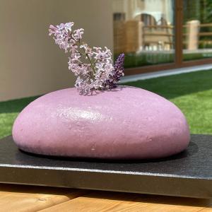 Zahrada ubytování Villa Ciardi Wellness Hotel & Ristorante