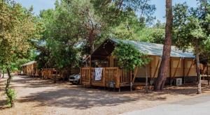 a row of lodges in the woods with trees at Glamping Camp Soline in Biograd na Moru
