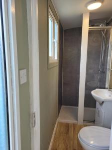 a bathroom with a toilet and a sink at Wedger's Hut in Nenagh