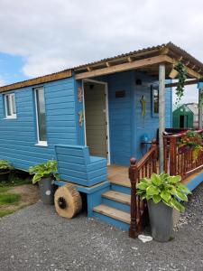 a blue tiny house with a porch and stairs at Wedger's Hut in Nenagh