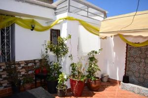 un patio con macetas y sombrilla en Studio Amine avec une terasse privée en Rabat