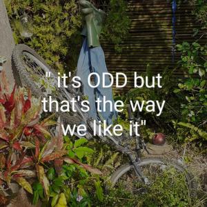 Un signe qui dit son vieux mais c'est comme ça que nous l'aimons. dans l'établissement Vincentia Odd Cottage ( self catering), à East London