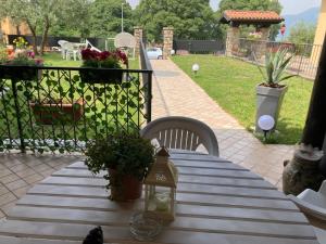 A garden outside Oxy Holiday Home