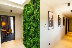 Fotografie z fotogalerie ubytování Boutique ROOMs 76 v destinaci Imotski