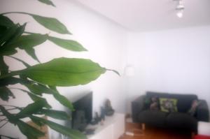 Galeriebild der Unterkunft Sol no Horizonte - AT in Ericeira