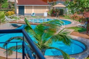 a palm tree in front of a swimming pool at KenGen Furnished and Serviced Apartments in Nairobi
