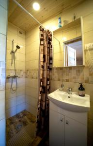 ein Bad mit einem Waschbecken und einer Dusche in der Unterkunft Kėdainiai Old town apartment in Kėdainiai