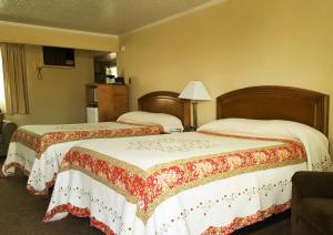 Postel nebo postele na pokoji v ubytování Bristlecone Motel