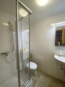 a bathroom with a shower and a toilet and a sink at Farmer-Rabensteiner in Bad Gams