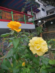 Gallery image of Salamina Highs in Salamina +132 photos