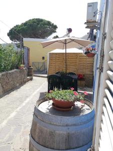 Gallery image of Casa vacanze Ombretta in Ponza