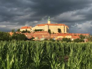 Fotografia z galérie ubytovania Pension Sebastian a vinný bar Prostě SKLEP v destinácii Mikulov