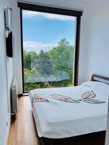 Zimmer mit einem Bett und einem großen Fenster in der Unterkunft Olimp apartment with terrace in Neptun