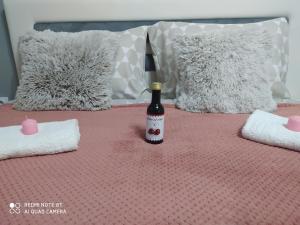Apartman studio Pavle i Petra客房内的一张或多张床位