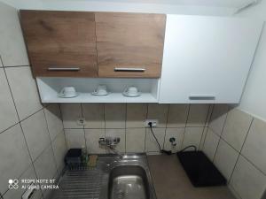 Apartman studio Pavle i Petra的厨房或小厨房
