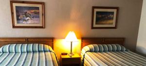 Posezení v ubytování Bristlecone Motel
