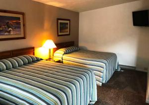 Postel nebo postele na pokoji v ubytování Bristlecone Motel