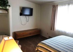 TV a/nebo společenská místnost v ubytování Bristlecone Motel