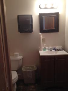 
a bathroom with a toilet, sink, and mirror at Montana's Duck Lake Lodge in Babb
