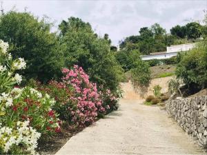 Zahrada ubytování Casa los Almendros