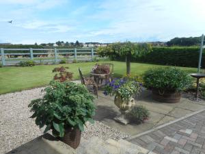 un giardino con piante in vaso, tavolo e sedie di Auchenlea bed and breakfast a Coatbridge