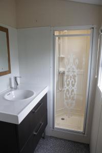 a bathroom with a shower with a sink at CHALET AAN HET STRAND in Nieuwvliet