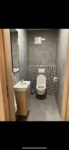 a bathroom with a toilet and a sink at SD-Apartment in Spielberg