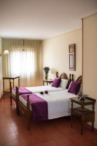 ein Schlafzimmer mit einem großen Bett mit violetter Bettwäsche in der Unterkunft Villa de Elciego in Elciego