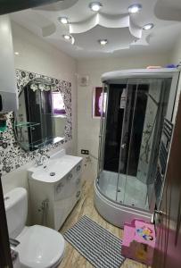 a bathroom with a shower and a toilet and a sink at Apartament Mara in Jurilovca