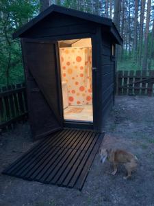 Domáce zviera alebo zvieratá hostí v ubytovaní Sielanka Mazury