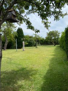 a bird house hanging from a tree in a field at Fehmarn Ot Burg 2 Zi Bungalow Gartenmöbel WLAN in Fehmarn