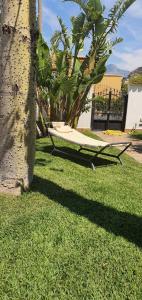 A garden outside VILLA MARIANNA CON PISCINA PRIVATA ampi spazi esterni e WIFI FREE