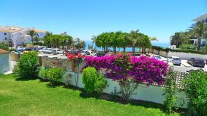 Naturlandskabet i nærheden af lejligheden