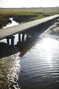 a bridge over a body of water at CHALET AAN HET STRAND in Nieuwvliet