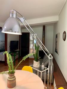een zilveren lamp in een woonkamer met twee planten bij Pedreiras Cottage Rias Baixas in Pontevedra
