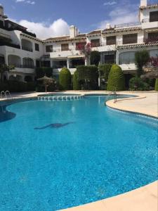 un delfín nadando en una gran piscina azul en Cabo Roig Bellavista 26, en Playas de Orihuela