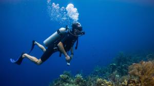 a person in a diver suit swimming in the ocean at Portofino Beach Resort-An Authentic Island Escape! in San Pedro
