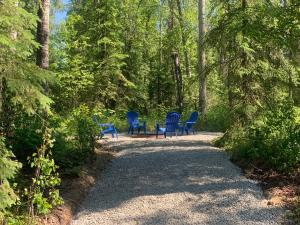 drie blauwe stoelen op een pad in het bos bij Peaceful Talkeetna Getaway #3 in Talkeetna