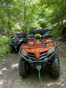 two atvs parked on a trail in the woods at La Bustea in Hărţăgani