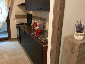 a small kitchen with a sink and a microwave at Eli’s Apartament in Piatra Neamţ