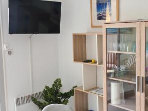 ein Wohnzimmer mit einem TV und einem Bücherregal in der Unterkunft Sopraland T3 45m2 à 300m plage Richelieu in Cap d'Agde